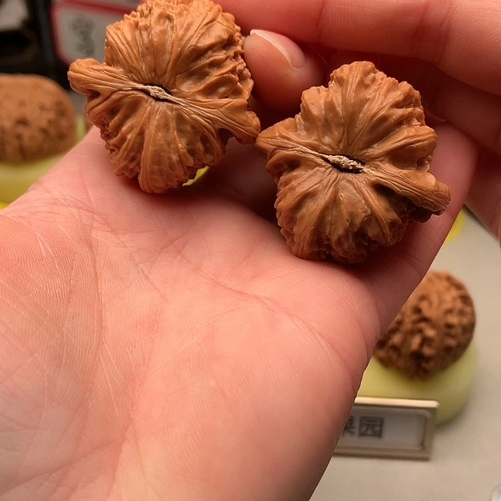 文玩核桃吊坠37尺白狮子703号