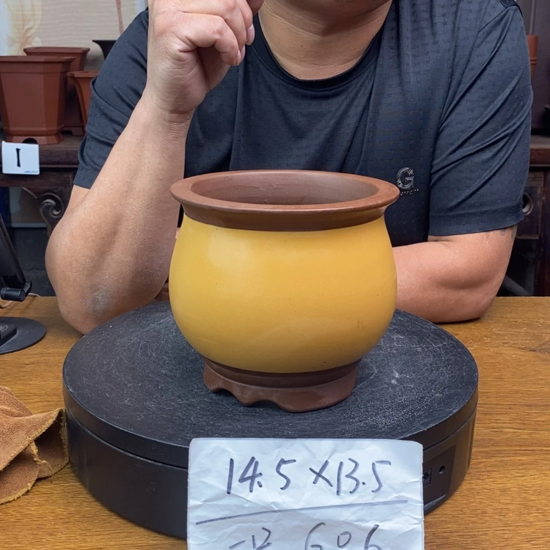 紫砂货号一只G06