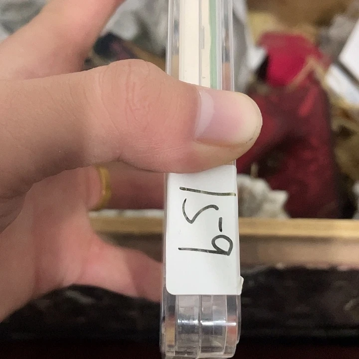 高楼大厦的建筑风格