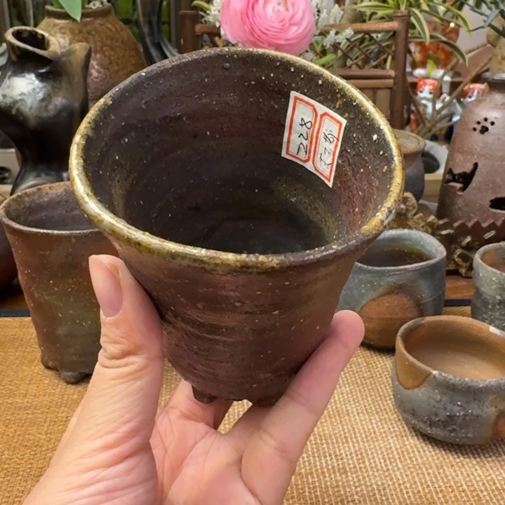 末石都小猫杯福利一口价