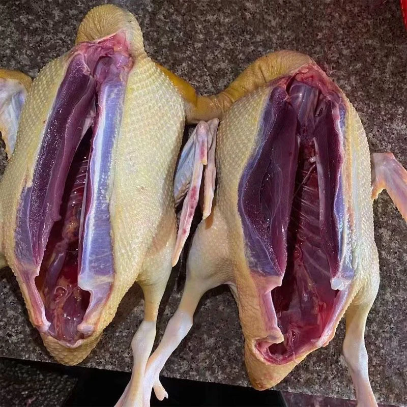 农家散养半番鸭带翅膀内脏新鲜宰杀顺丰包邮4-5个月