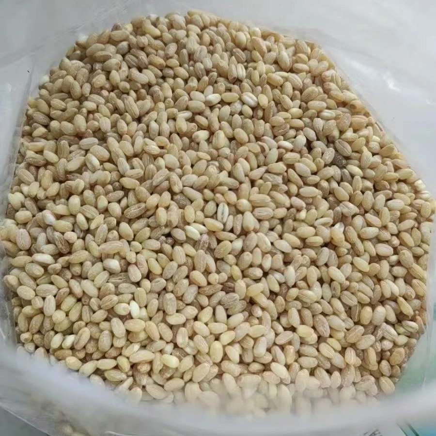 河南去皮小麦仁带胚芽干净饱满可煮粥饭用新鲜杂粮