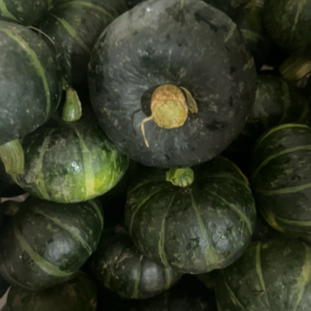 贝贝南瓜农家大集现收