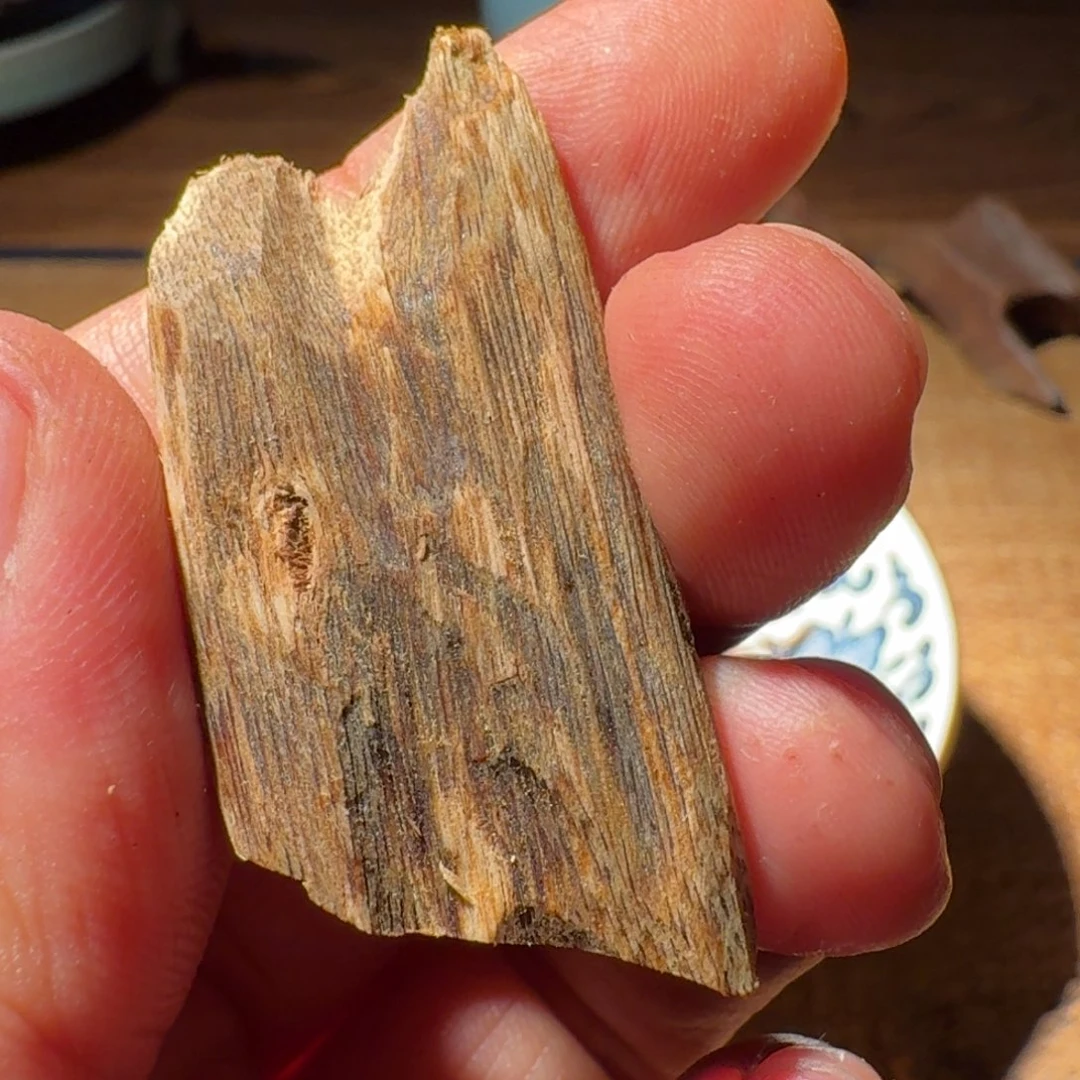 树脂制品巭*母树 12 年移植打孔六年 4.39