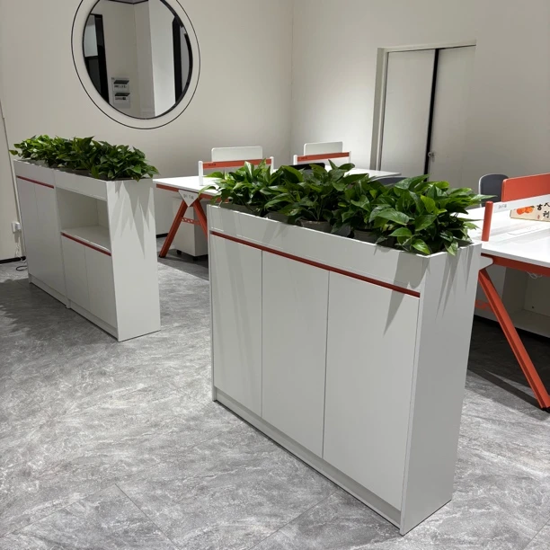 木质办公花槽柜公共区隔断间隔储物收纳柜子简约现代白色文件矮柜