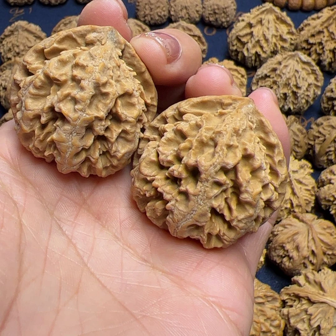 文玩核桃把件秦岭野生植物核桃