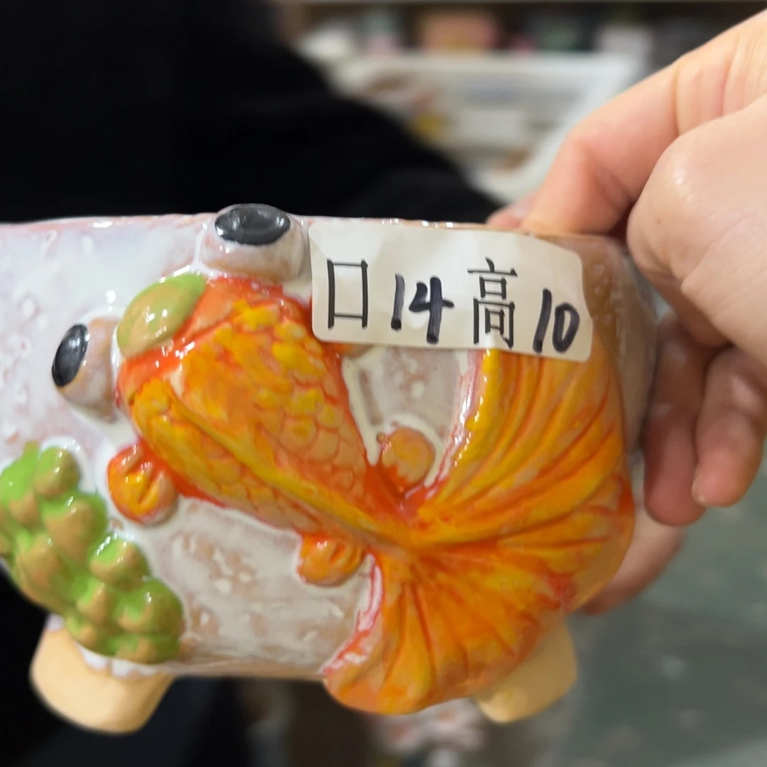 满20米秒退拉黑多肉