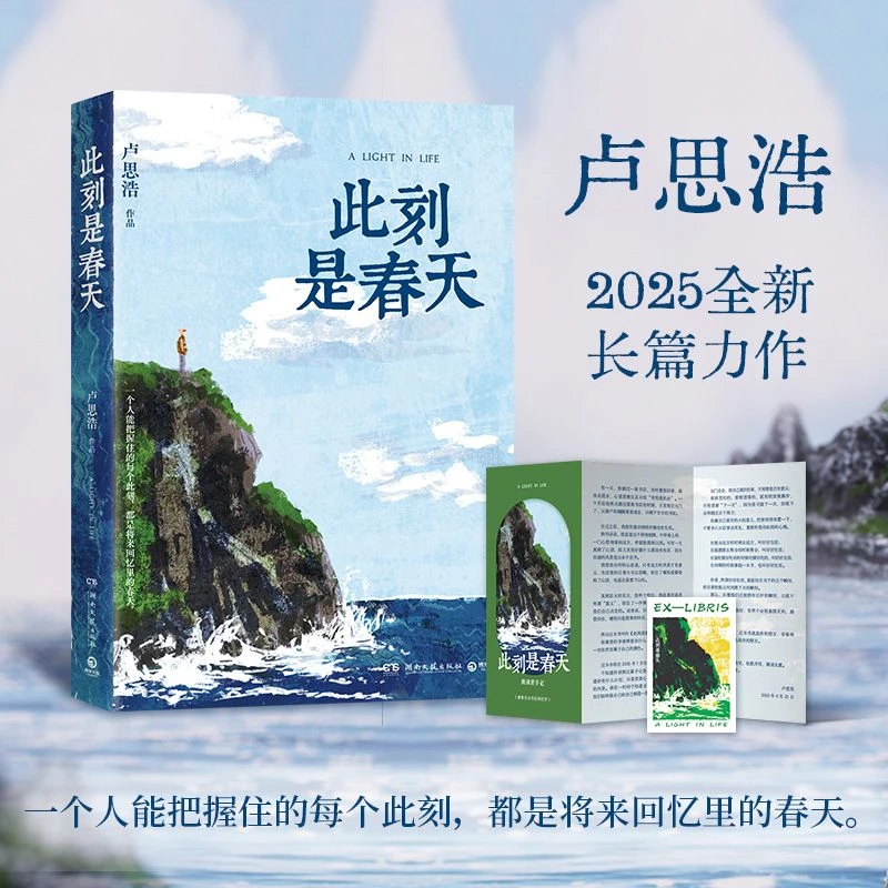 此刻是春天 卢思浩2025年新书找寻生活的意义女性成长书籍