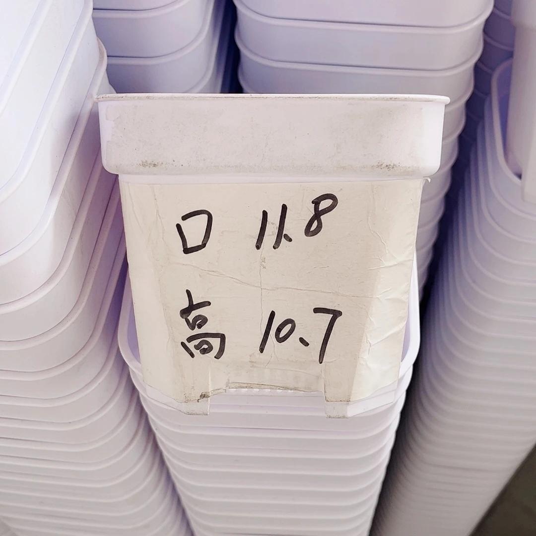 树脂加厚矮胖12方白色盆10个无托