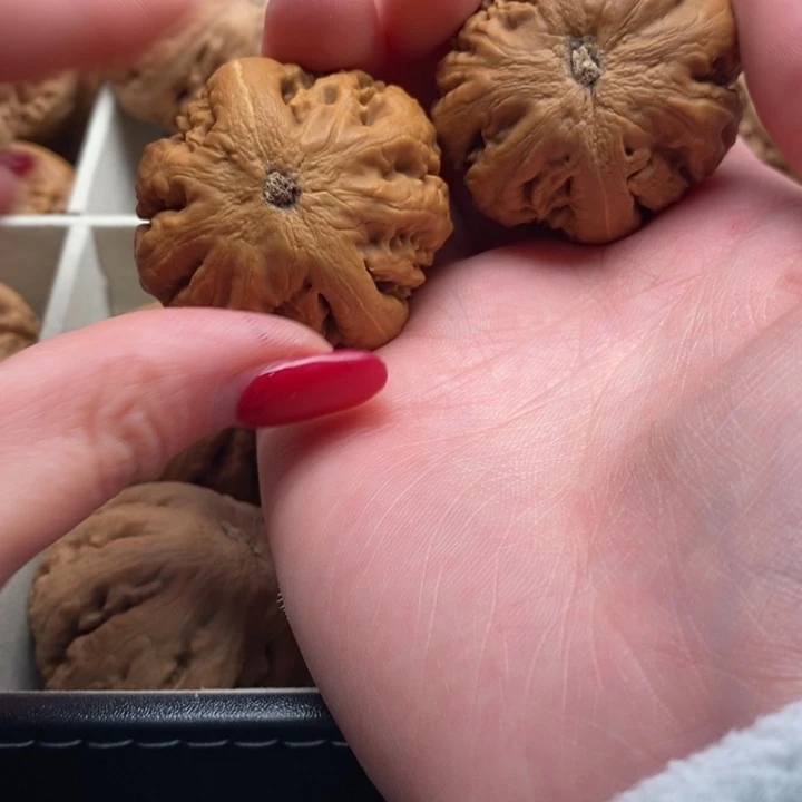 用***2文玩核桃把件霸王龙