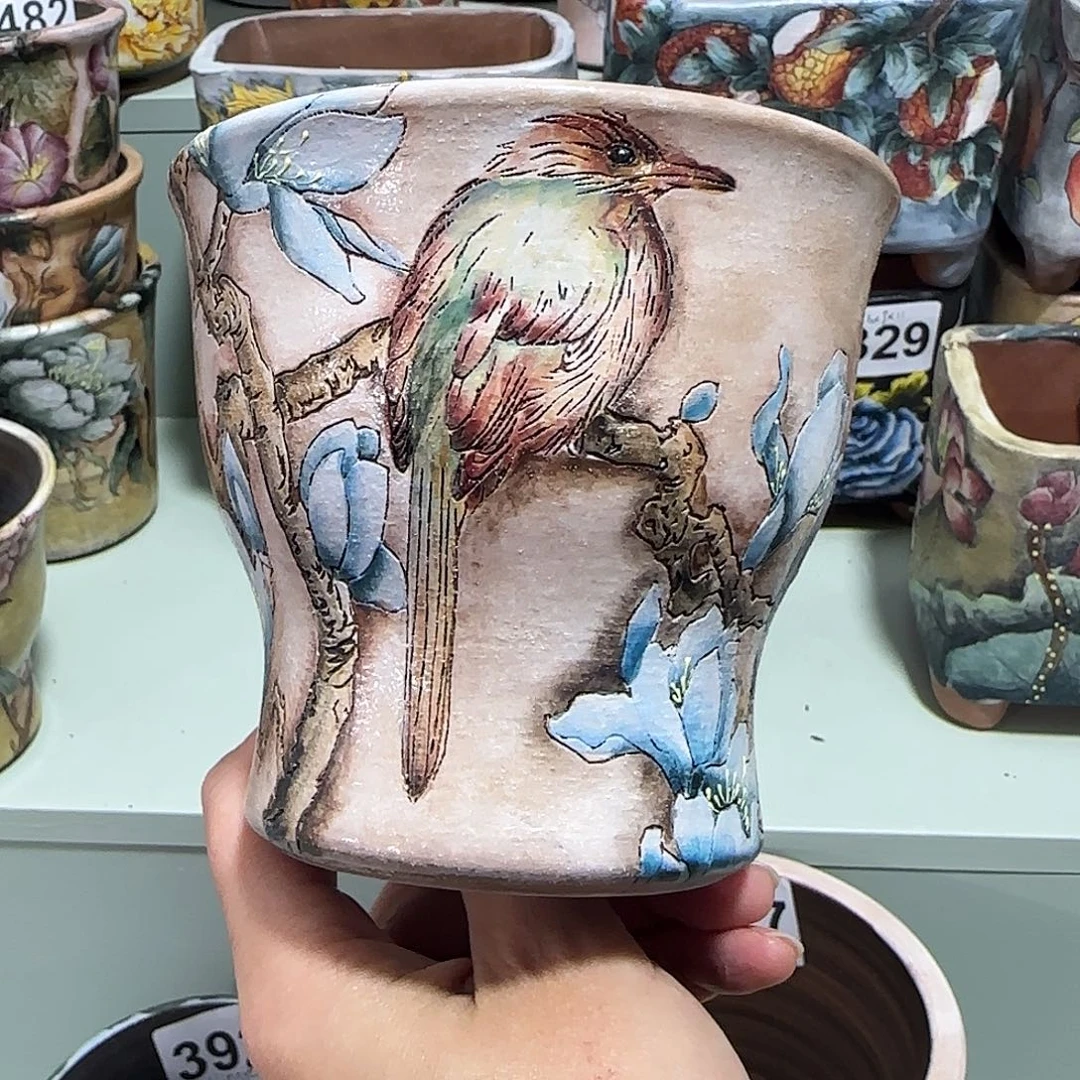 红陶w****e5856666663326669