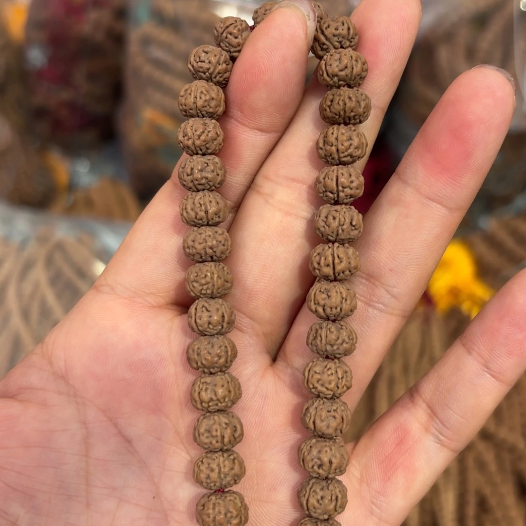 9树王手持全品高货精选