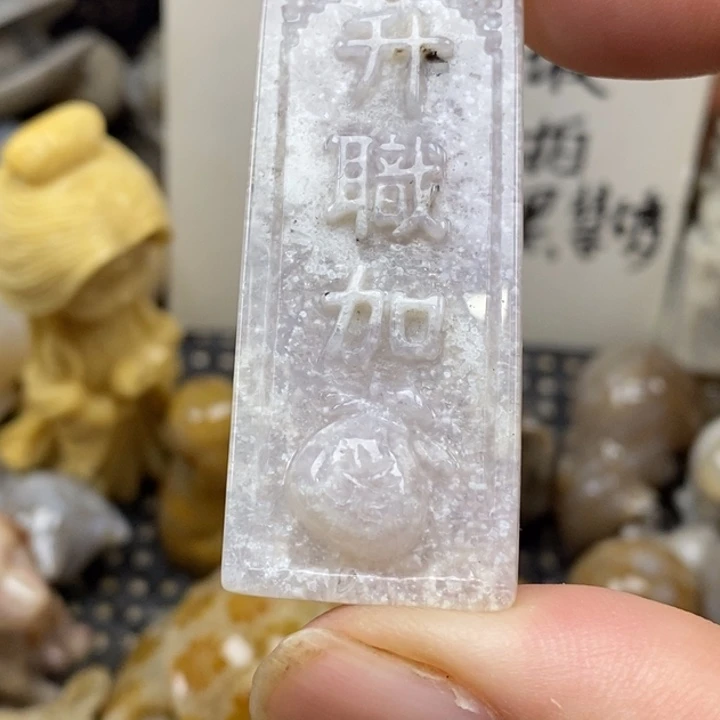 硅化珊瑚（珊瑚玉）未镶嵌颈饰