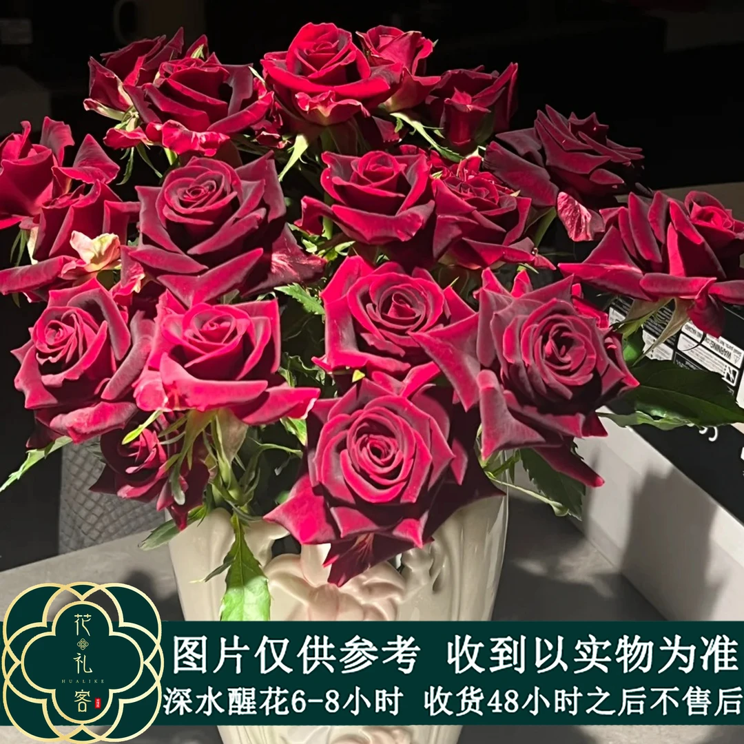 云花巷 * 多头玫瑰 【紫罗兰】鲜花优选顺丰直发