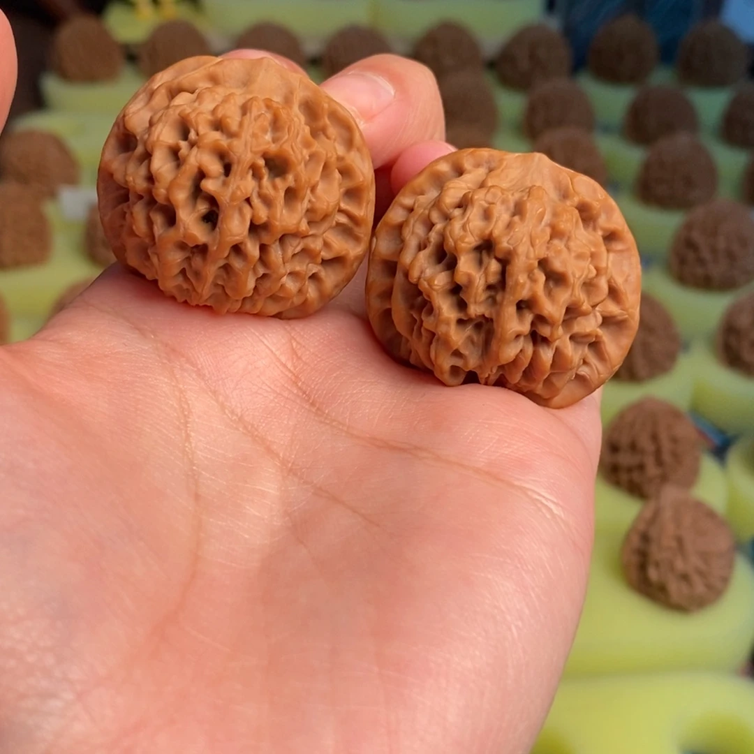 ٩***۶核桃秦岭闷尖狮子头36