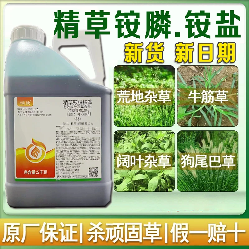 【新货】精草胺磷胺盐除草剂牛筋草小飞蓬水花生果园茶园除草剂农药