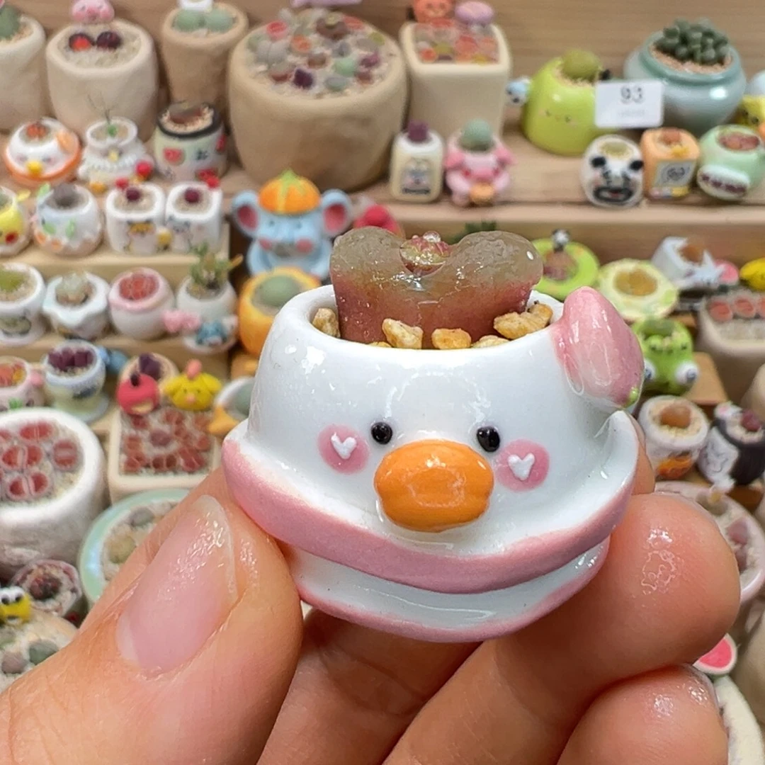 多肉植物94号拇指盆