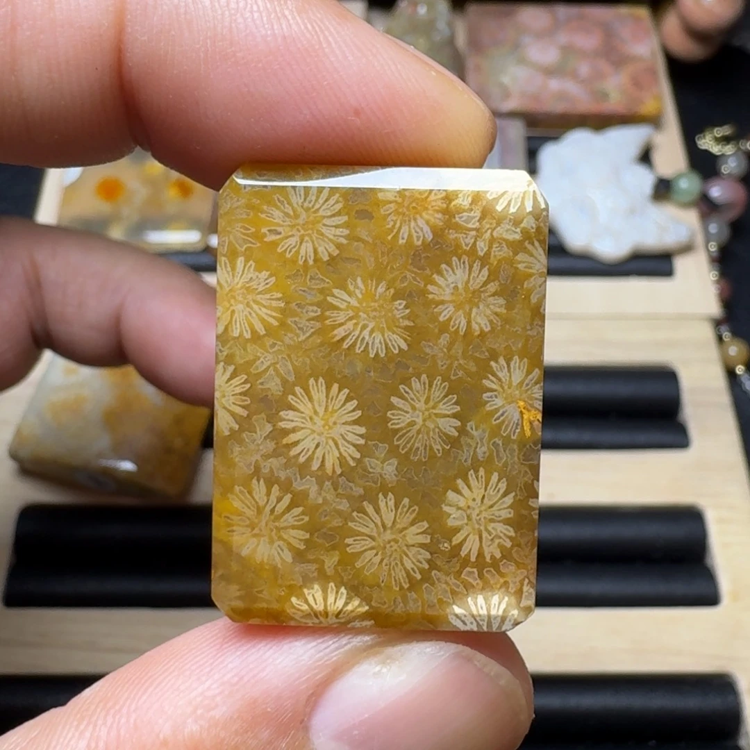 硅化玉未镶嵌纯天然色有机玉石保真色
