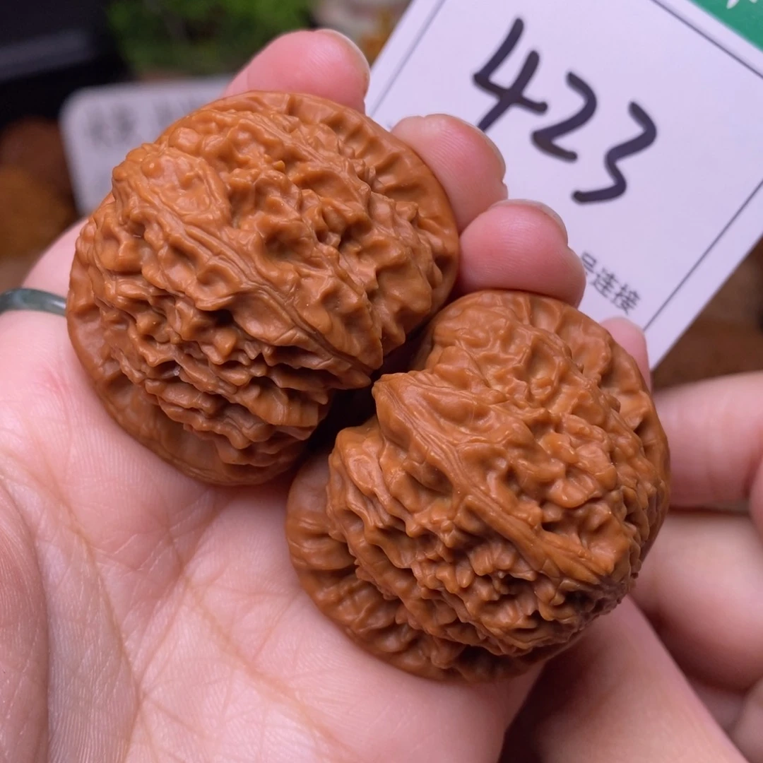 把件文玩核桃423白狮子4.2