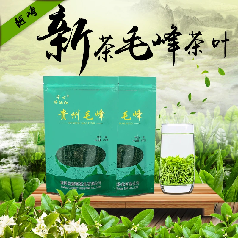 【贵州毛峰】高山云雾绿茶 浓香型板栗香 YWZ