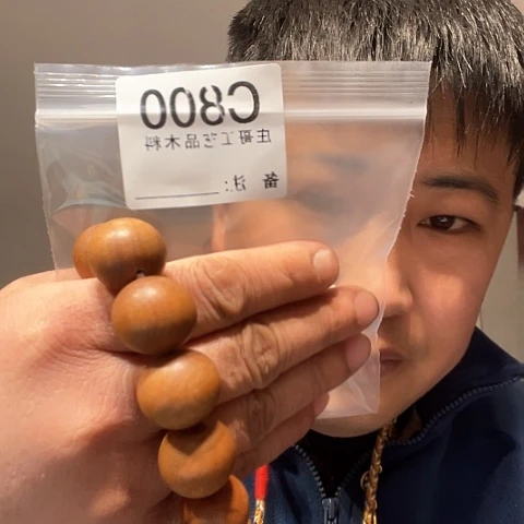 【闪购商品】香榧木黑檀木风车木，800