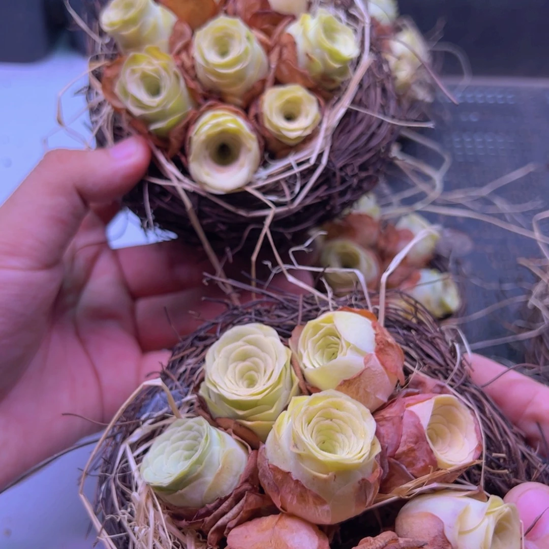 鸟巢玫瑰新手福利福利