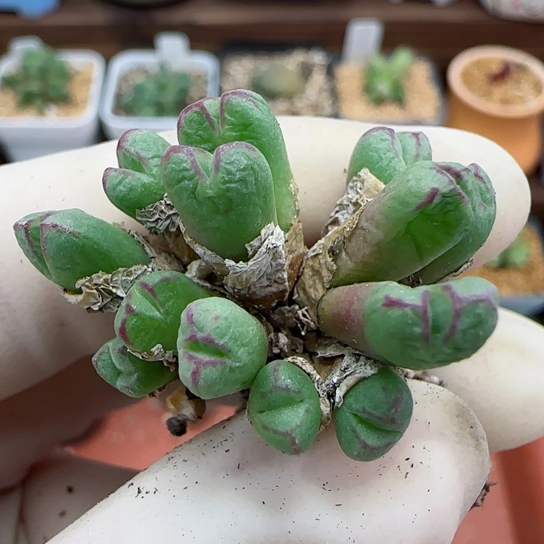 308福利福利福利