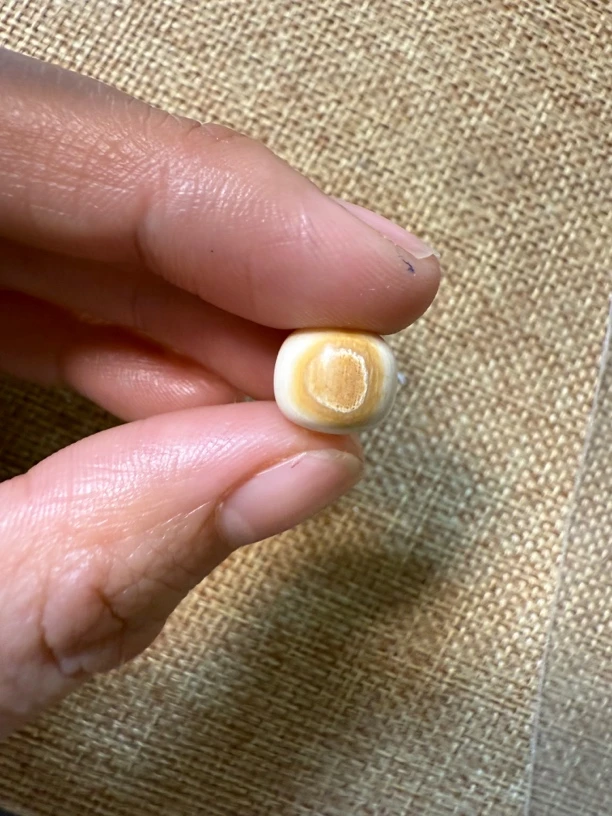 F555天然猛犸牙黄金瞳老型1.0单颗配饰