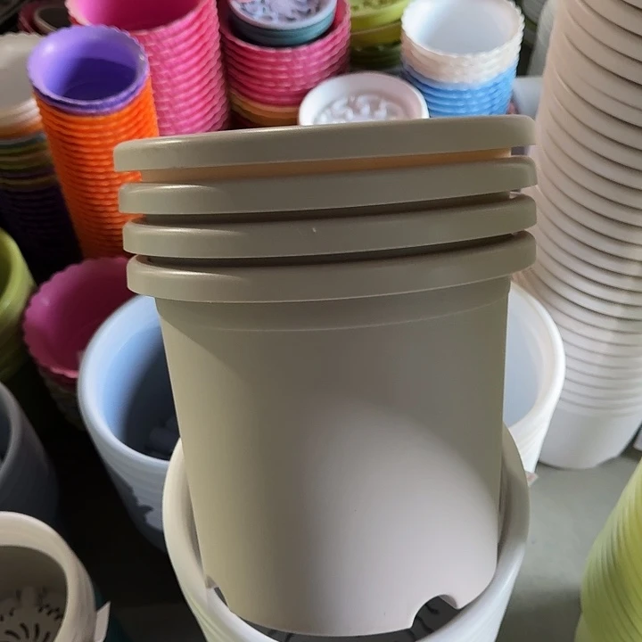 微瑕5#口径29灰白5个无托