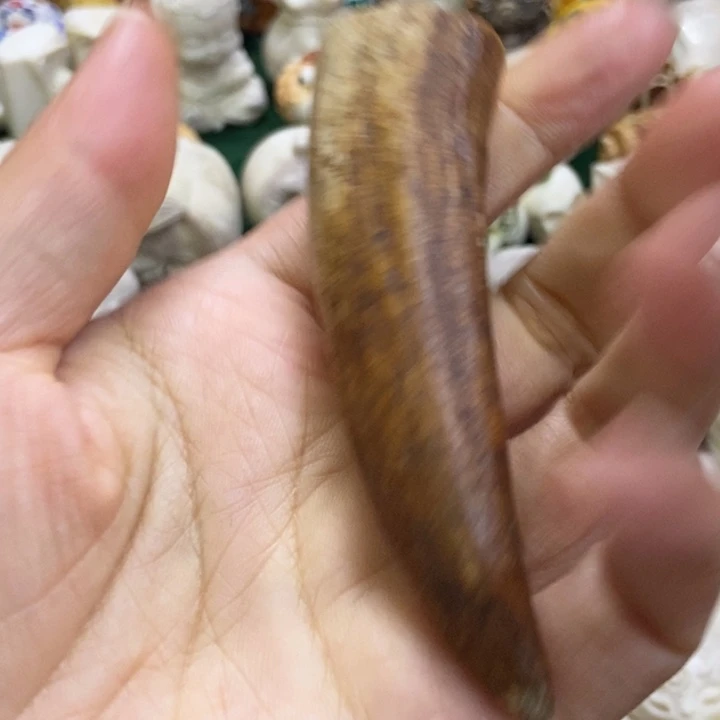 荷***香配饰鹿角雕刻一个出