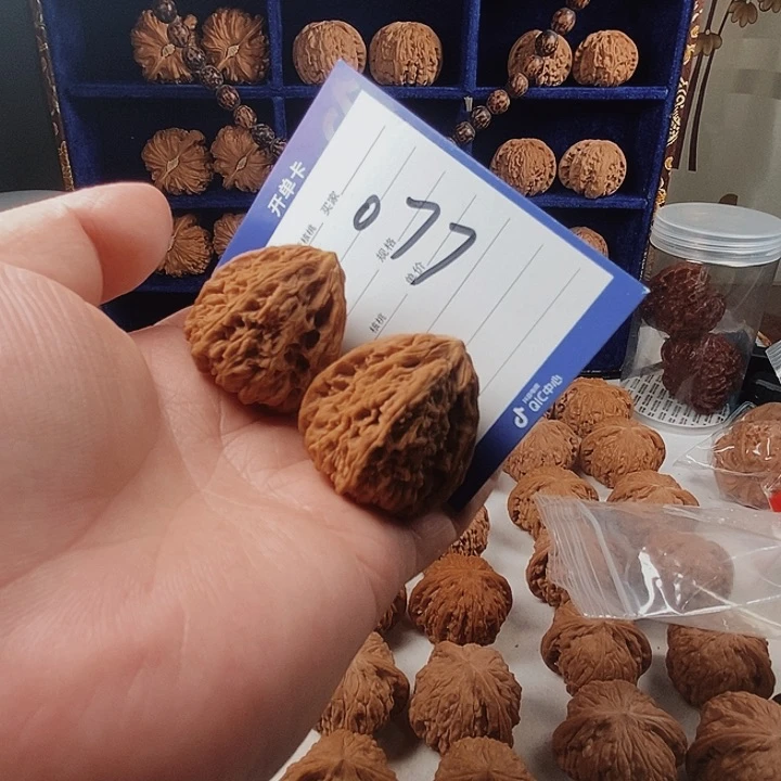 子****东111111111111111111