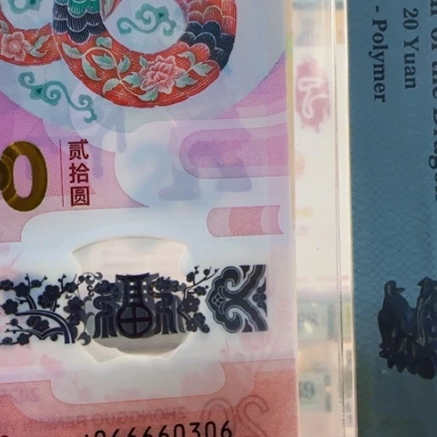 人****欢蛇九龙令J066660306包68分