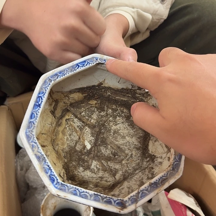 陶陶瓷瑕疵品 介意勿拍