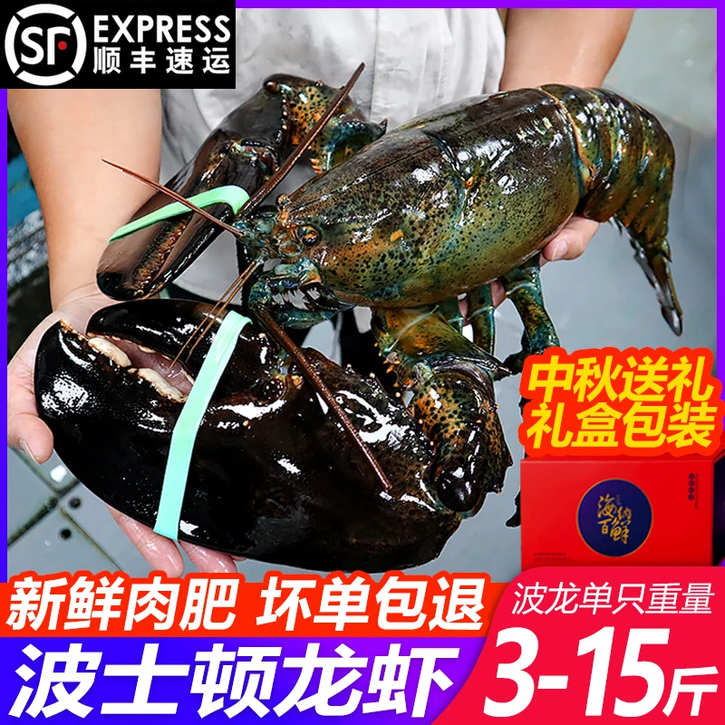 波士顿龙虾新鲜活冻年货中秋送礼礼盒坏单包赔澳洲大龙虾澳龙
