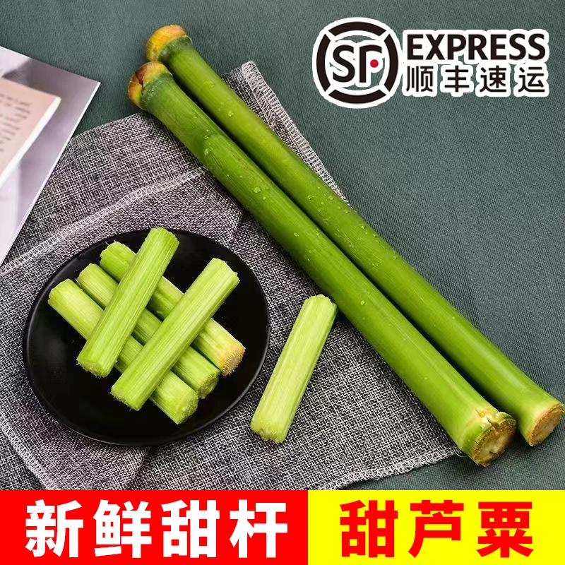 新鲜甜杆 甜芦粟 甜到梢甜高粱清甜香甜青皮甘蔗小时候的味道2斤