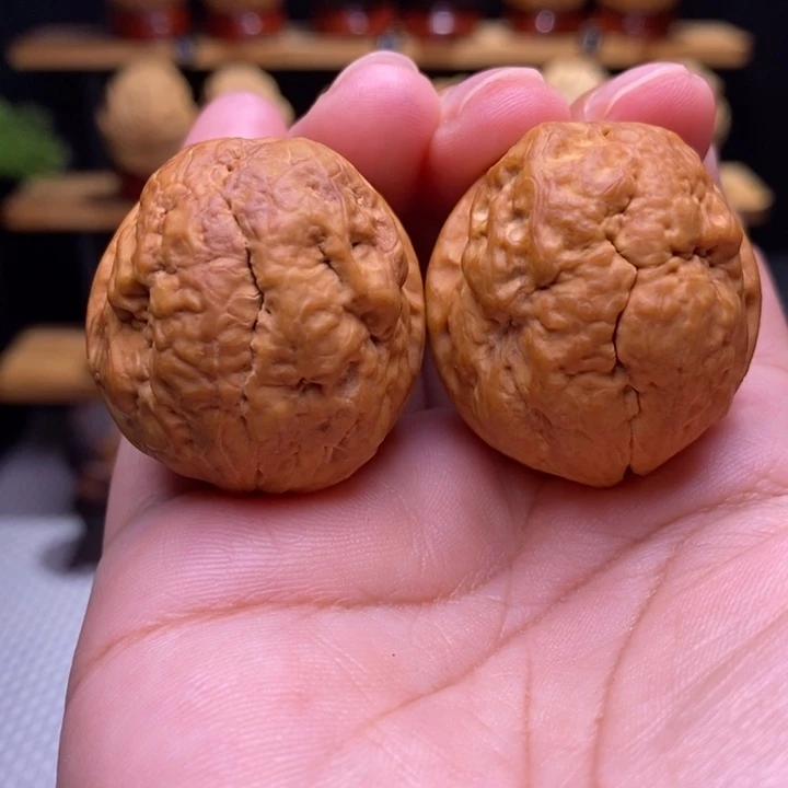 木质类云铁肌肉达摩4号35尺