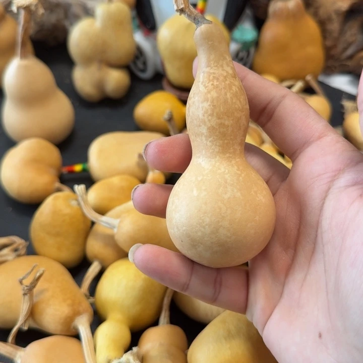 童***机888……………………………………