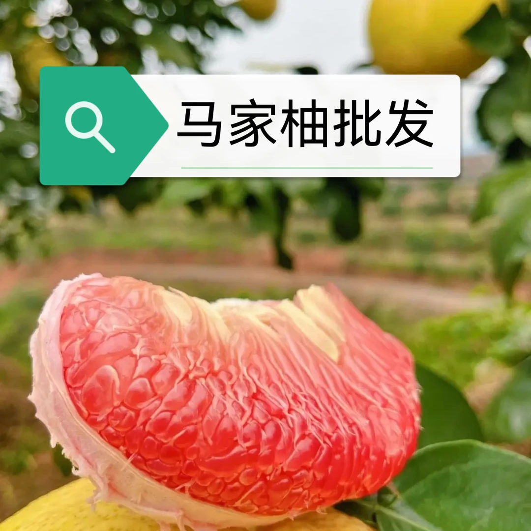 包甜正宗广丰马家柚批发有籽无籽都有不接受指定（介意皮厚不要拍）