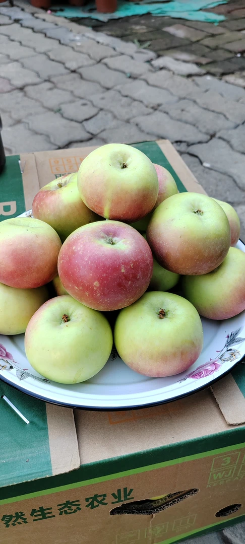 农户自家种的现摘现发新鲜苹果