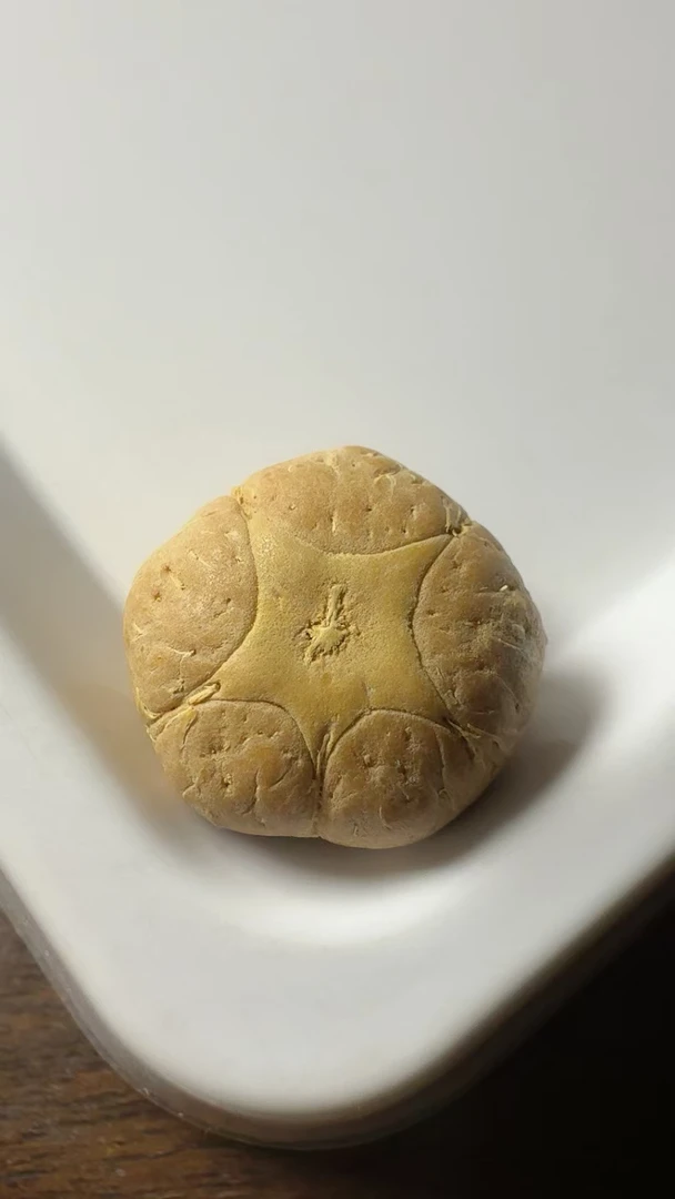 【H0169】玉籽超厚正五星：21x14.7mm  玉化果冻料