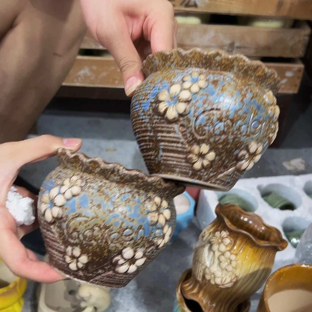 无孔！水培！福利款！数量有限！