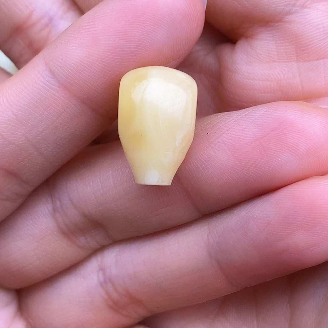 琥珀裸石未镶嵌11.8mm 蜜蜡一体三通