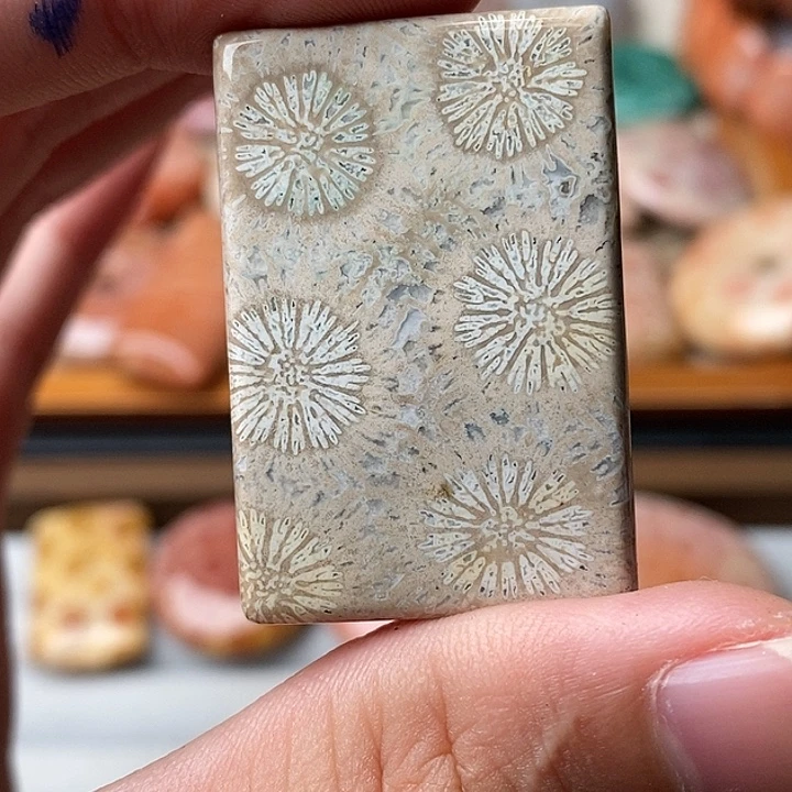 T***y硅化玉未镶嵌颈饰