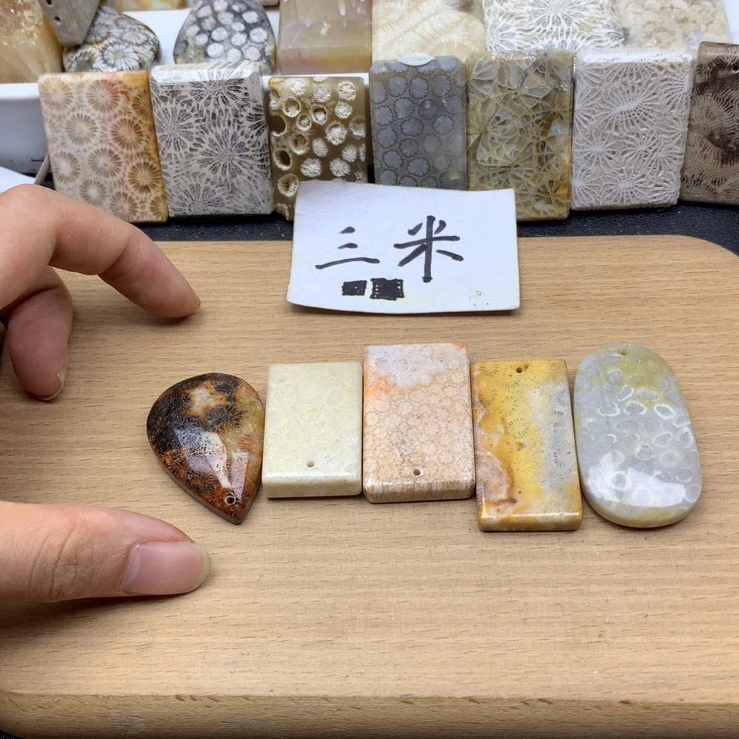 一***天硅化珊瑚（珊瑚玉）未镶嵌