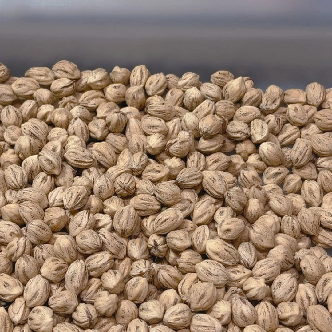 k**?柏香籽散子 384 克散子