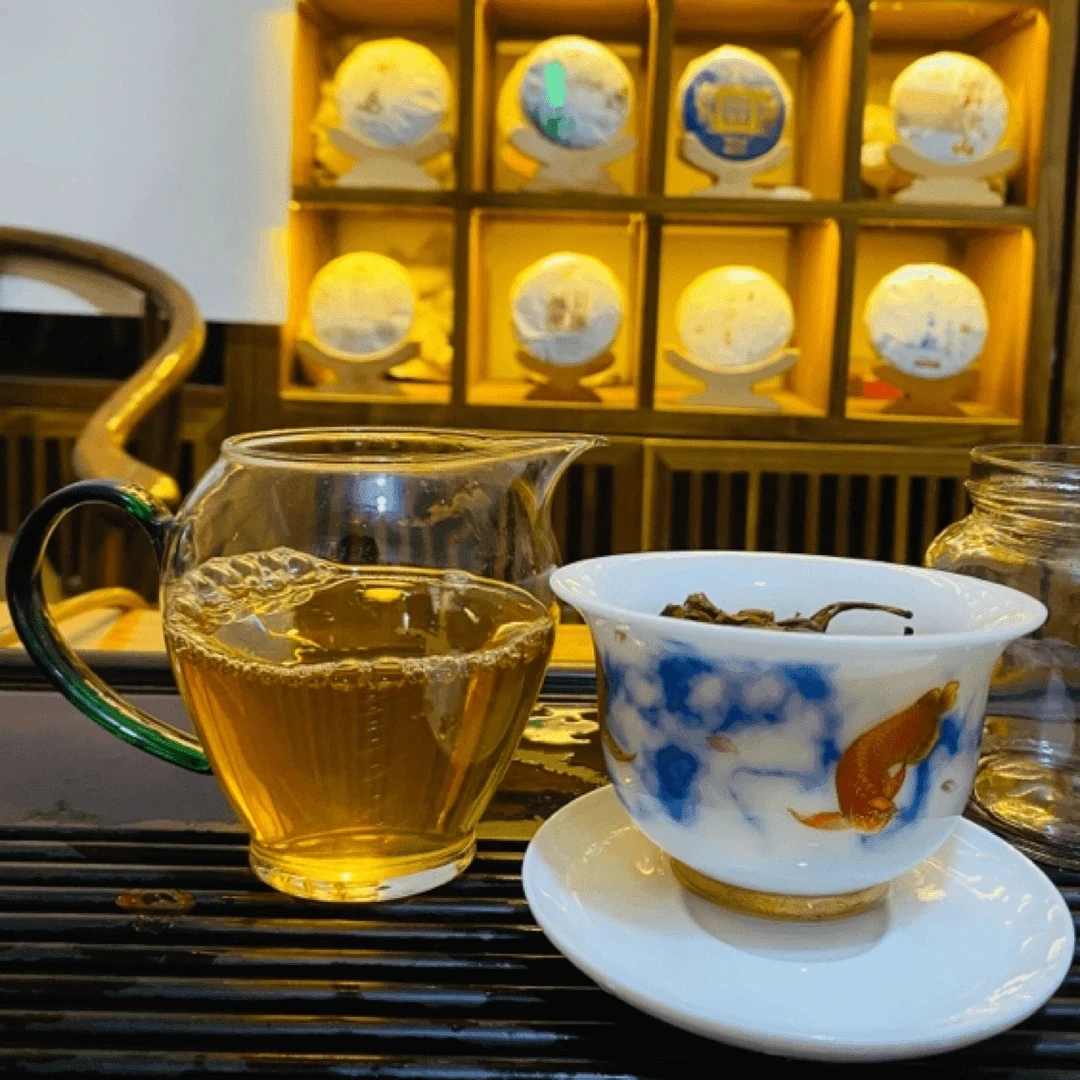 2025年单株春200克饼茶