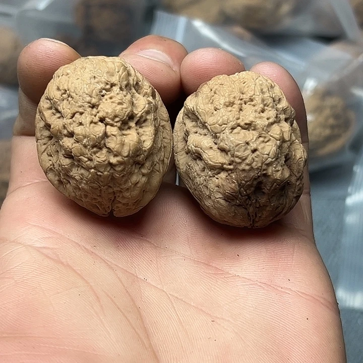 核桃78号金刚佛手37尺