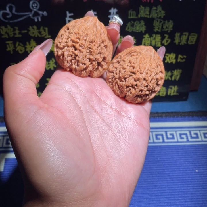 41满天星101 111111