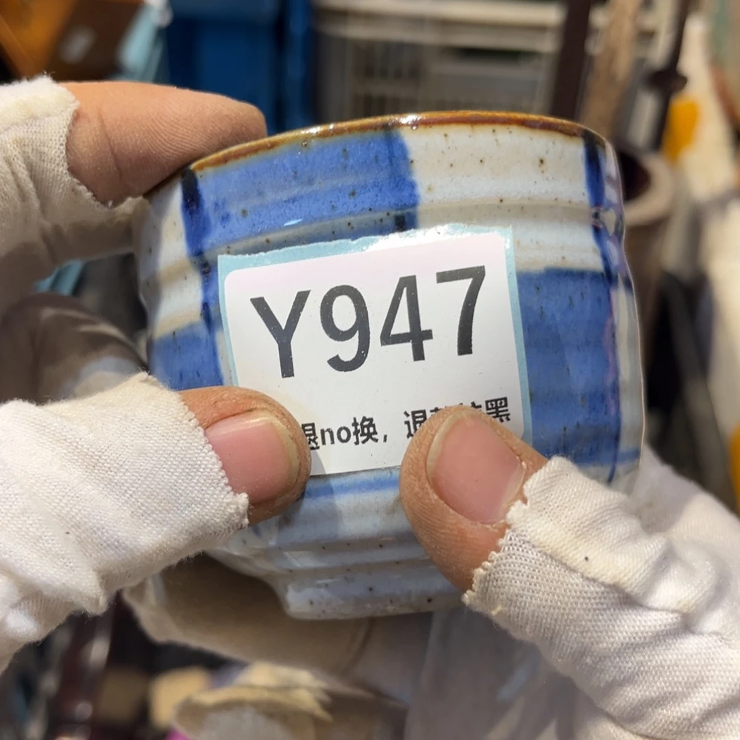 朔***朔陶瓷直播链接火爆热卖热卖