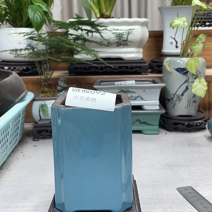 陶瓷花盆精美抢购福利